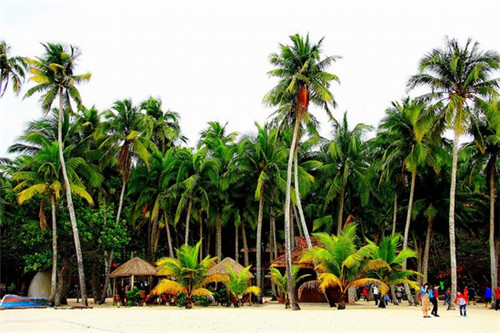 王老太私家烘焙