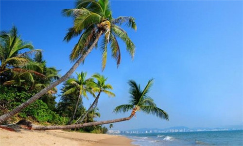 御牛道日式料理