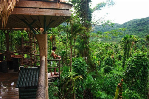 新西兰岩烧乳酪