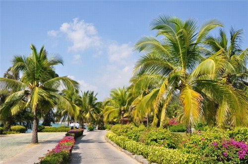 加盟包不凡灌汤烧饼投资成本高吗