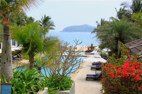 芜湖县加盟奶茶哪些项目比较适合新手，可恋奶茶加盟在芜湖县要求多吗