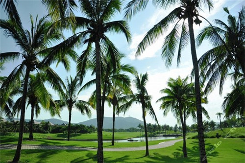 蜀楠板材建材（蜀南集团）