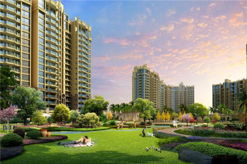 牛肉炒丝瓜苗怎么炒（牛肉炒丝瓜苗怎么炒的）