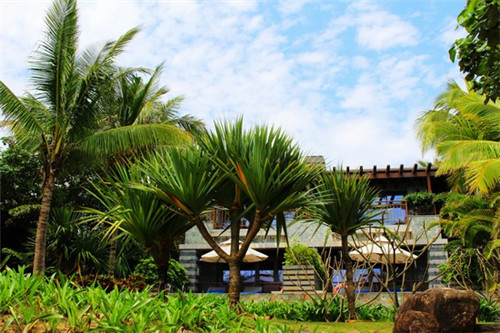 和顺县开店NFC果汁加盟哪家好