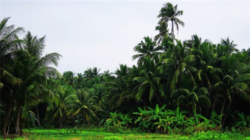打印服务器连锁店品牌推荐